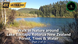 4k Walk in Nature around Lake Tikitapu, Forest, Trees & Water. #asmr #forest #trees
