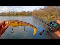 Pike Fishing a CARP LAKE - BIG Lures, BIG action!