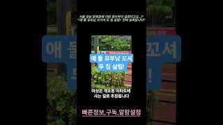 서울 강남 한복판에 이런 현수막이 걸렸다고요…?”“&#39;애 둘 유부남 꼬셔서 두 집 살림!&#39; 진짜 실화입니다!”