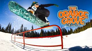 The Orange Grove - Kingvale - 2026