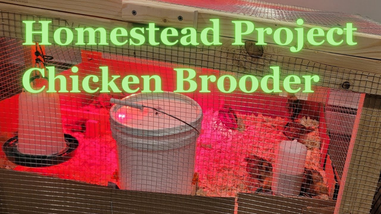 Chicken Brooder Build - YouTube