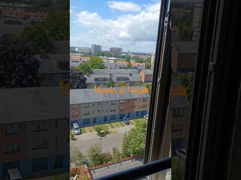 هولندا او بلجيكا أيهما افضل يوميات اليمنيين في اوربا بليجكا البحرين عمان