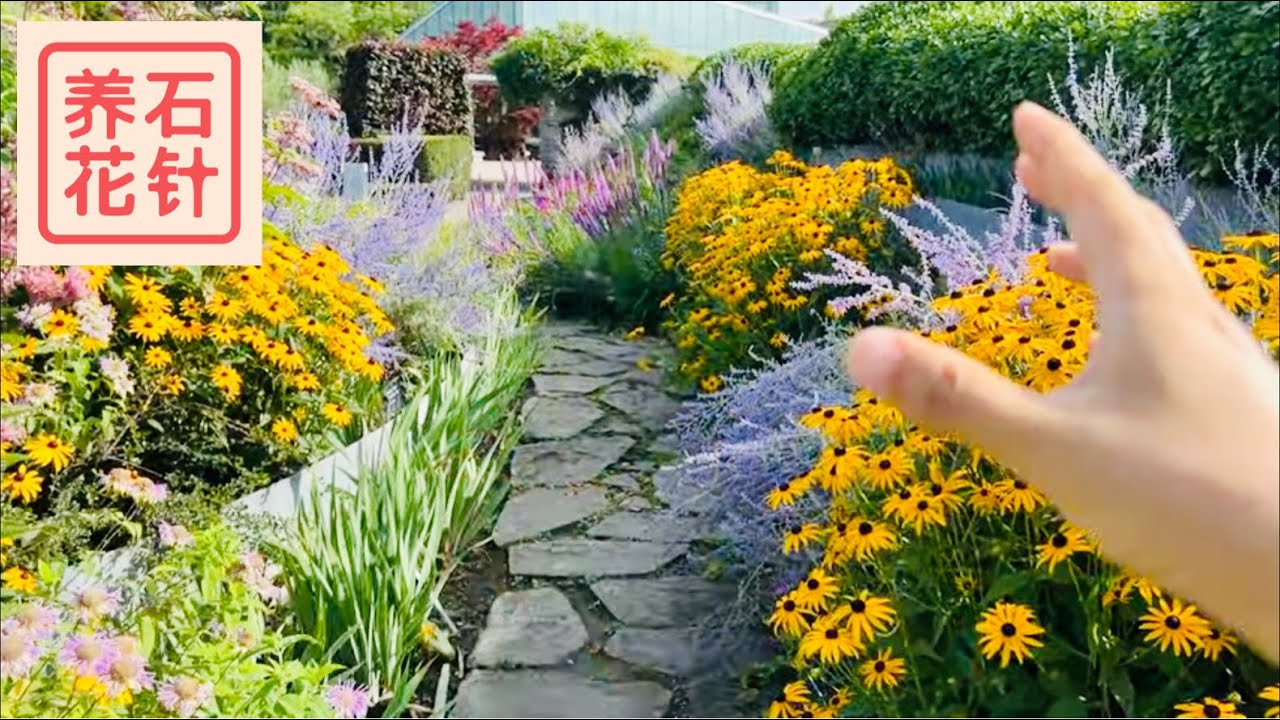 靓丽的八月花园- 看看颜色、花卉组合- 配中英文对照- YouTube