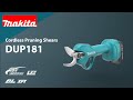 Makita Cordless Pruning Shears DUP181