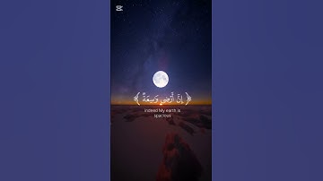 القرآن الكريم راحة نفسية