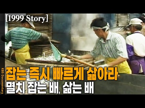 [1999 Story] 여기여차 멸치온다, 태풍 비켜라~ 파도와 싸우며 마지막 멸치잡이에 나선 영광호의 멸치잡이 | KBS 19990813 방송