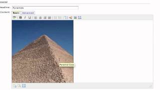 D2L - Editing Tools - Adding an Image