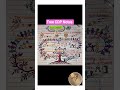 🎯CDP Moral Development Theory नैतिकता का सिद्धांत Carol Gilligan कैरोल गिलीगन #viral#ctet#education