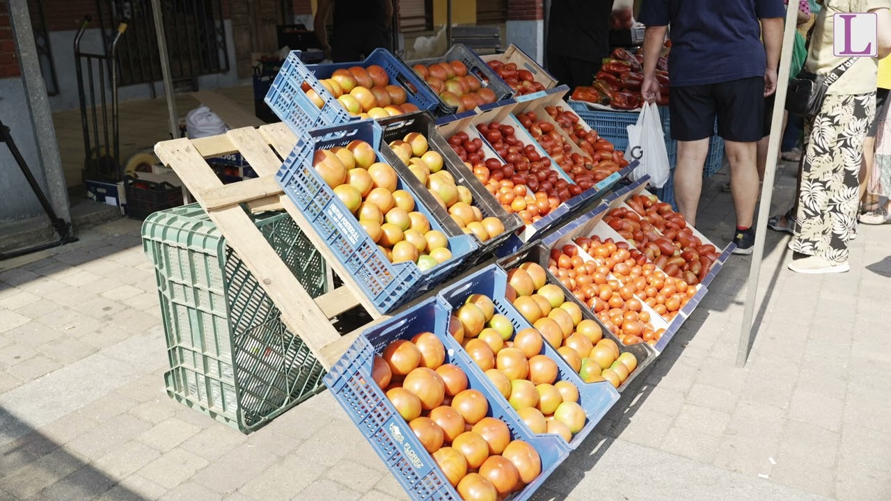 Feria del Tomate 2025 - Mansilla de las Mulas