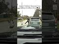 Turkey Attacks Cop 😂🦃🚔