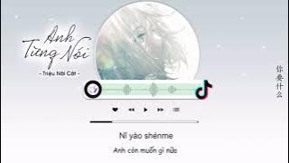 Download lagu Anh Từng Nói | 你曾经说过 [ Vietsud ] | Triệu Nãi Cát