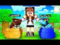 SCEGLI IL PET PIÙ RARO PER VINCERE SU MINECRAFT!!