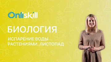 БИОЛОГИЯ 6 класс: Испарение воды растениями | Листопад