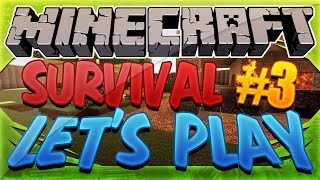 MINECRAFT | Survival Island Stranded w/Matthew & Dawson Part 3: THEY FOUND TREASURE!