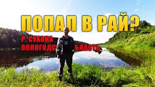 Река Сухона. Вологодская область. Поход - кемпинг. Рыбалка на поплавок.