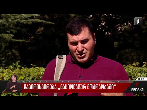 დაპირისპირება „ნაციონალურ მოძრაობაში“ - პარტიის ცალკეული წევრები თავმჯდომარის გადადგომას ითხოვენ