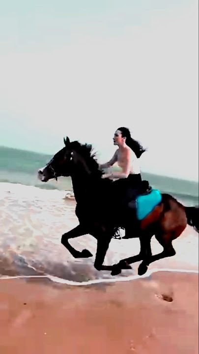 viral horse video #viral#horse#video