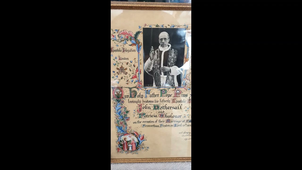 Millwoods Tuesday Auction Star Items (12/04/2022)