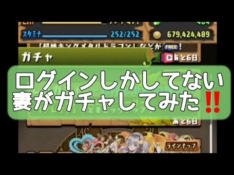 【⠀パズドラ 】俺は一生懸命プレイしてるのに、、、妻しか勝たん🥺(笑)