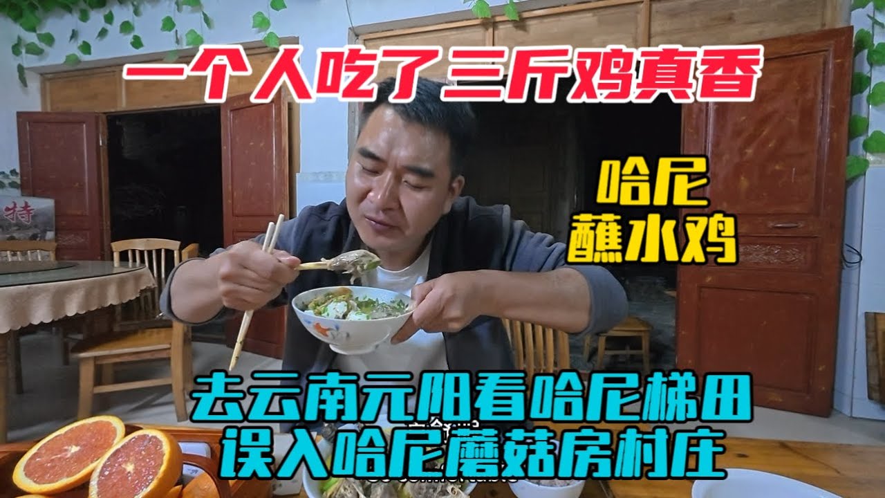 去雲南元陽看哈尼梯田，誤入哈尼族蘑菇房村莊，一個人吃了三斤哈尼蘸水雞，真香！