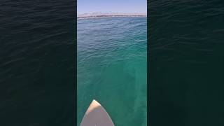 Goldcoast point breaks! #surf #waves