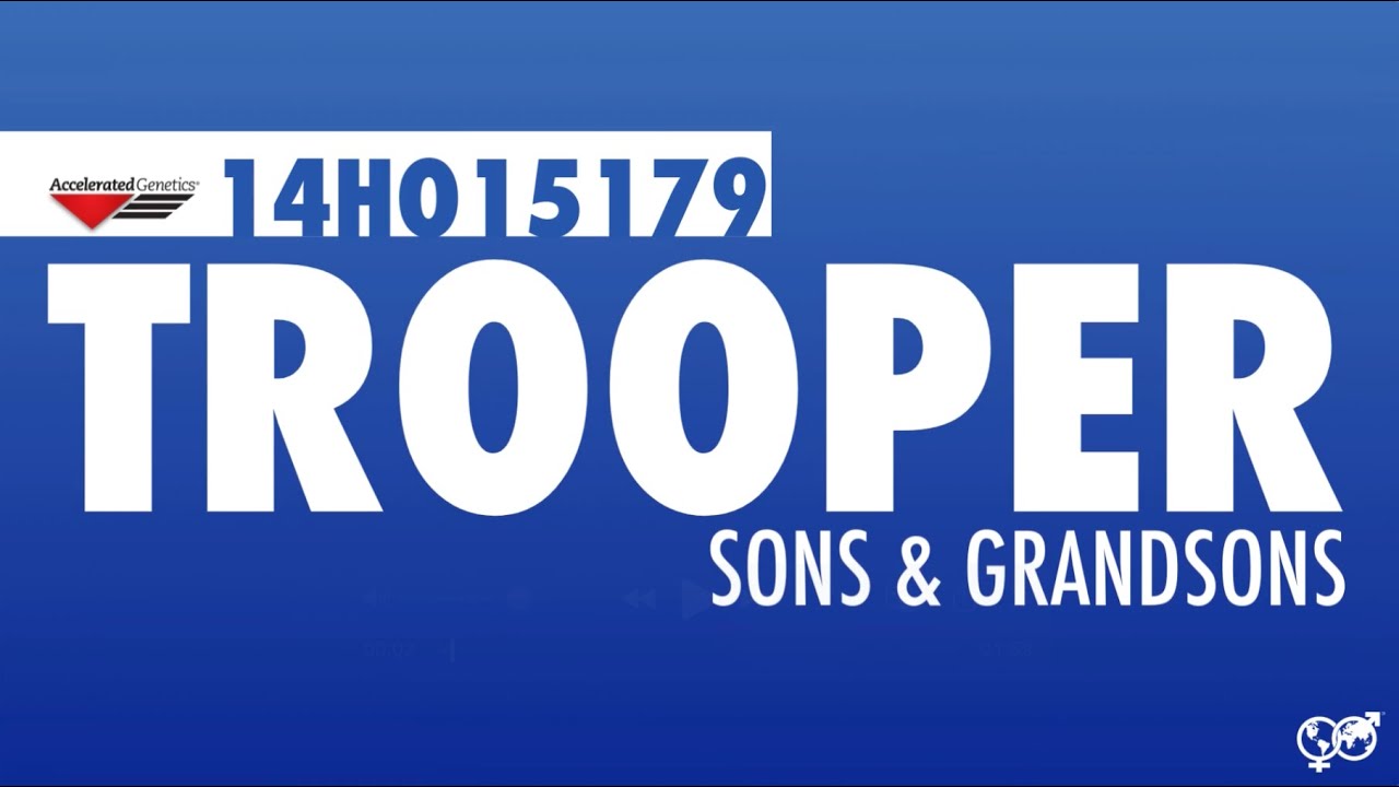 14HO15179 TROOPER