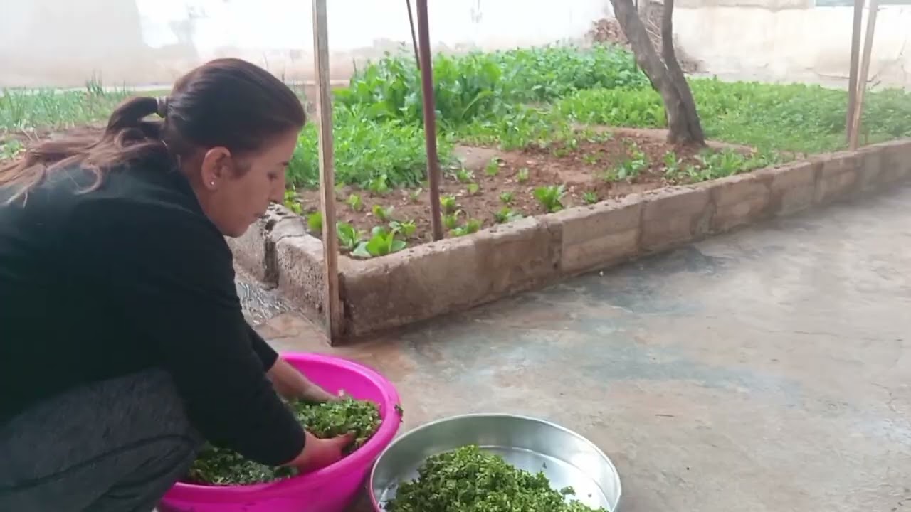 فديو من يومياتي ❤️🫶🏻 لا تنسوا الاشتراك ❤️