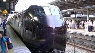 【MHあり】E655系なごみ団臨 横浜駅