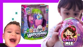 Hatchimals Crystal Canyon Secret With Googly Mer