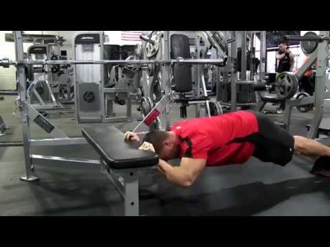 Bodyweight Tricep Extension