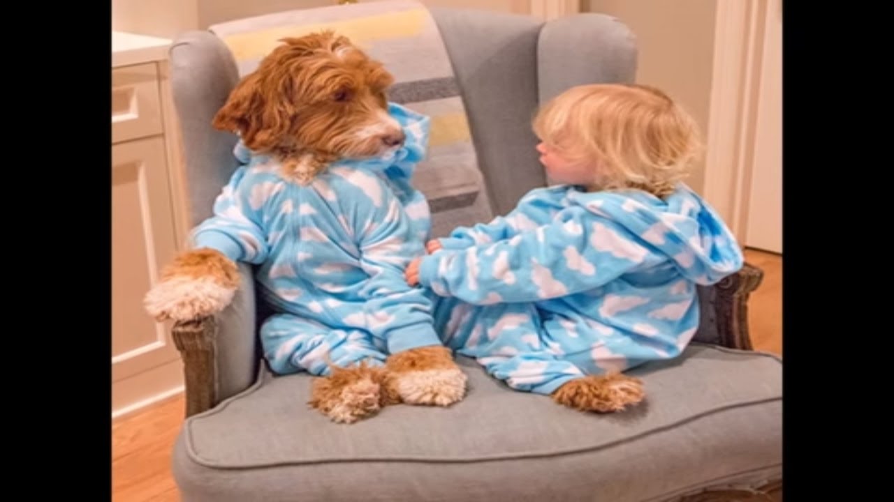 Heartwarming Friendship Between Boy And His Dog - YouTube