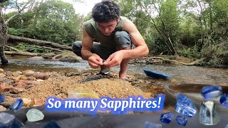 Searching for Sapphires in Tasmania, Australia