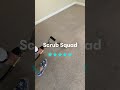 LOCAL and FAMILY owned Carpet, Upholstery, and House cleaning in Maryland!