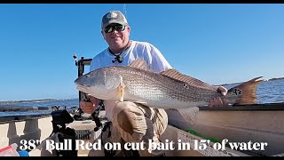 Amelia Bull Reds, sharks and a lot more by Lost Pond Fishing 416 views 6 months ago 5 minutes, 31 seconds