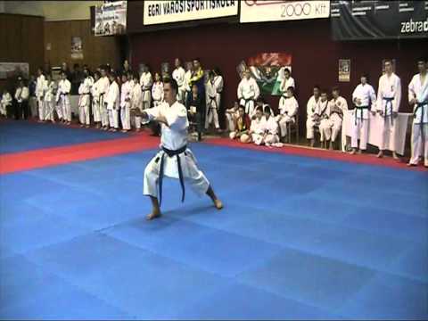 Karate Progresul Cernica Eger Ungaria 2011-4/5