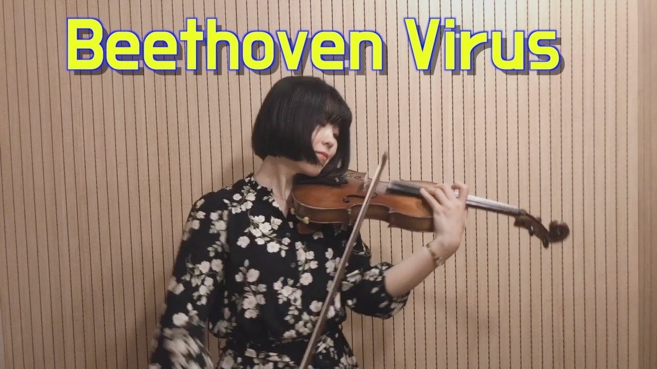 1 million views!! Beethoven Virus (베토벤 바이러스) Violin COVER by Seyoung