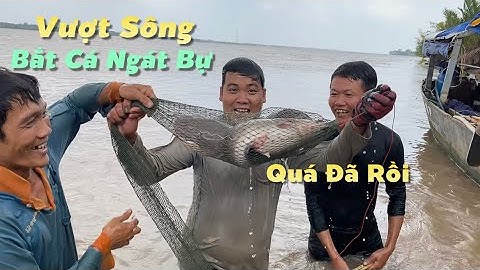 Vượt sông bắt cá ngát bự về nấu lẩu nhậu bên chòi lá | Cù Lao Dung Vlogs #657