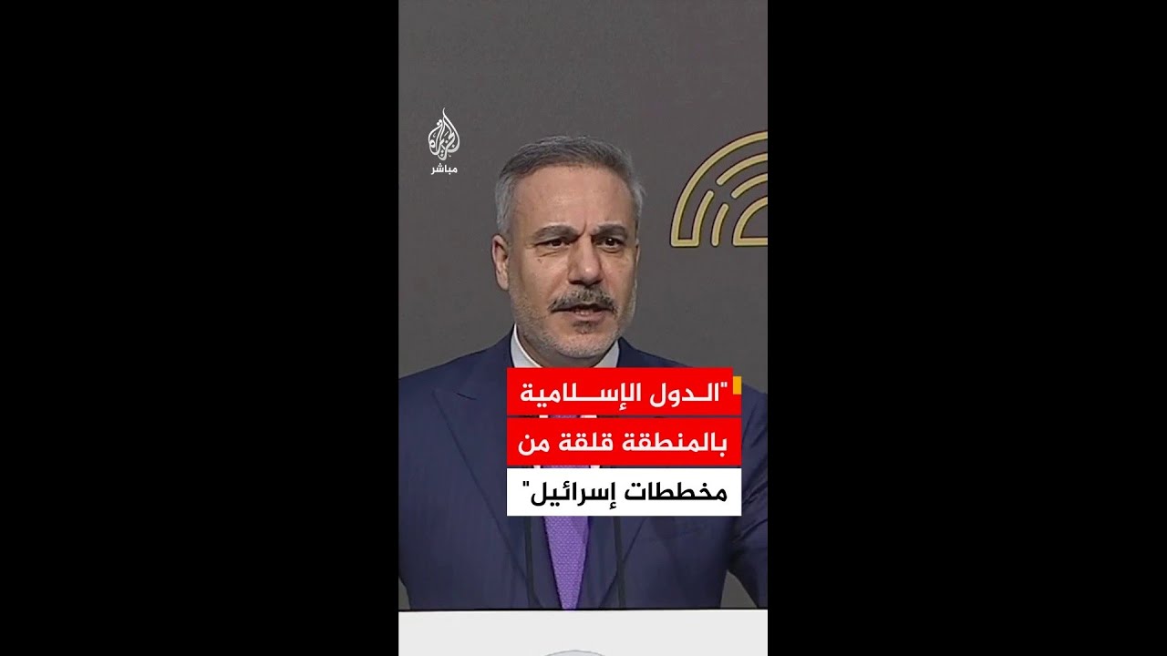 فيدان: المنطقة تشهد حالة من التوتر جراء سياسة إسرائيل التوسعية