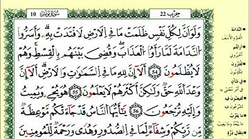 الصفحة 215 :سورة يونس من الآية 54 إلى 61
