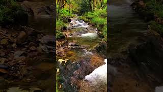 Aguas vivas de Asturias. Naruraleza en libertad #asturias #naturaleza #rutas
