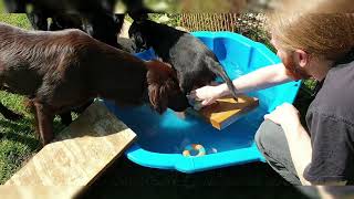 Zum ersten Mal Baden im Pool