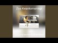 Ziya Kwankomoziningi