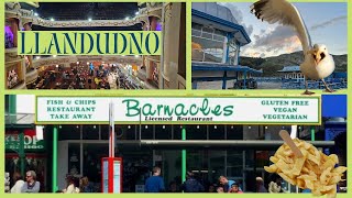 Llandudno - famous Barnacles chip shop vegan menu, x2 beaches, attacked by seagulls, wetherspoons 😊