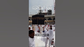 Surah Al-Ankabu 1-2  | Urdu-Hindi Audio Translation | سورة العنكبوت | #surah #islamdaily #quran