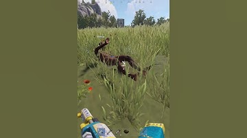 Gift from a chinise zerg #shorts #rustshorts