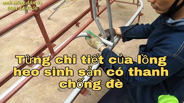 Hướng dẫn làm lồng heo nái sinh sản có THANH CHỐNG ĐÈ