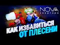 Как избавится от плесени и грибка в квартире. Самый надёжный способ удаления плесени.