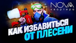 Как избавится от плесени и грибка в квартире. Самый надёжный способ удаления плесени.