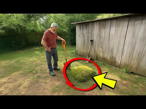 For A Decade, This Lump In His Backyard Grew Bigger. He Finally Dug It Up And Found a WWII Secret.