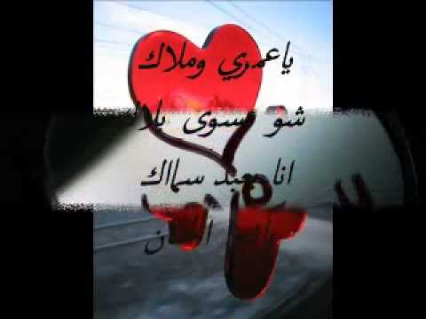 ليلة عمر علاء الأمين Wmv 